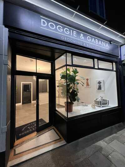 Doggie & Gabana salon